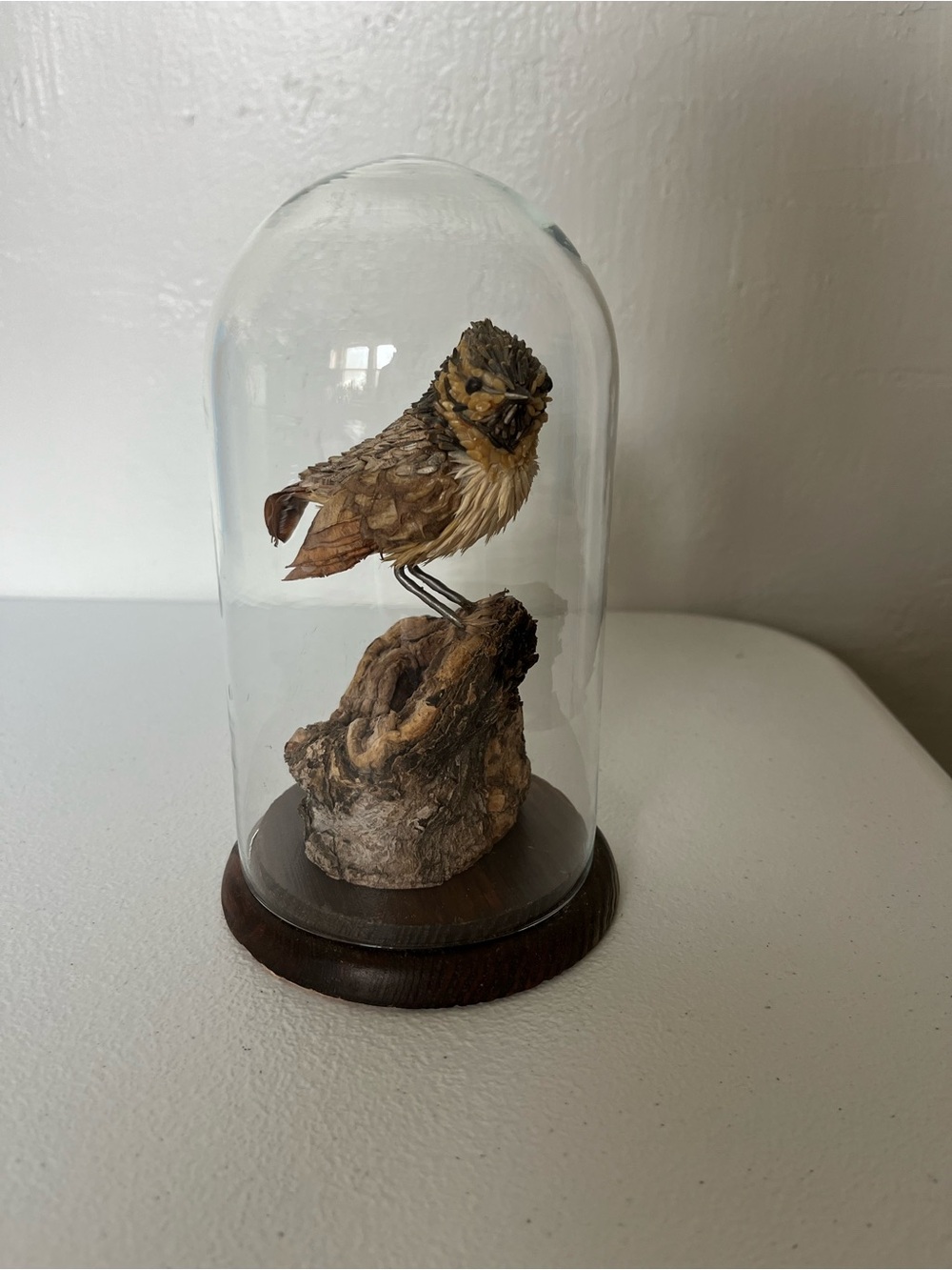 One Of A Kind Handcrafted Bird Figurine Made w Wood And Seeds Under Glass Dome